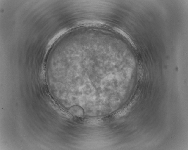 X0000077291074200611171621