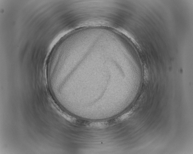 X0000077291078200611171621