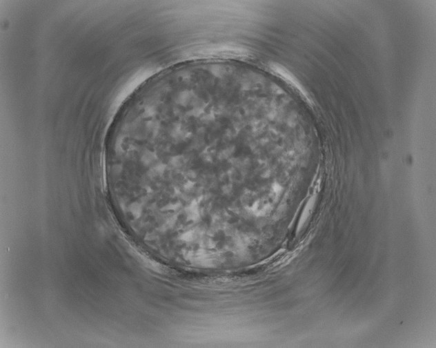 X0000077291079200611171621