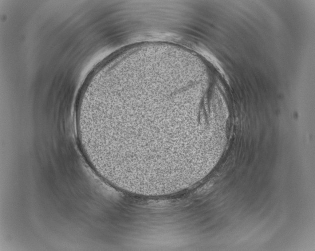 X0000077291080200611171621