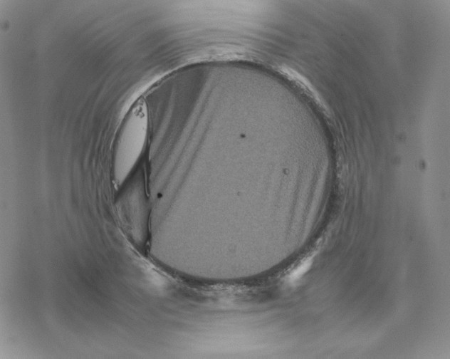 X0000077291081200611171621