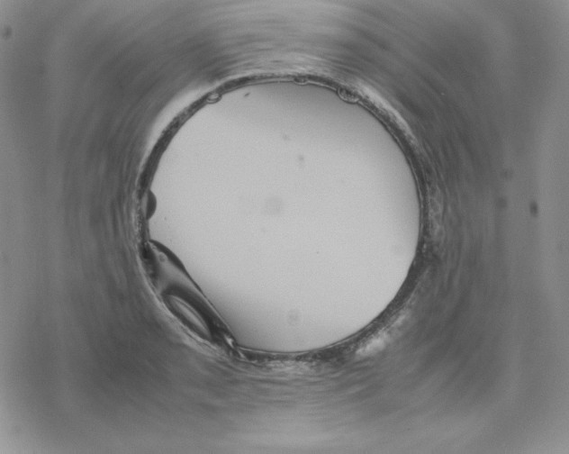 X0000077291085200611171621