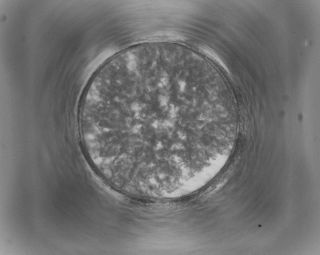 X0000077291087200611171621