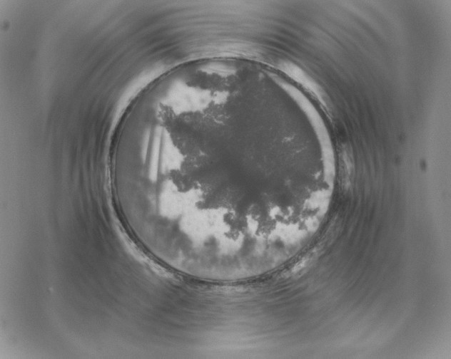 X0000077291088200611171621