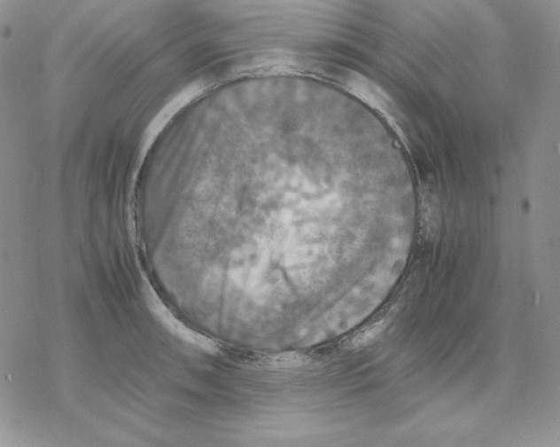 X0000077291090200611171621