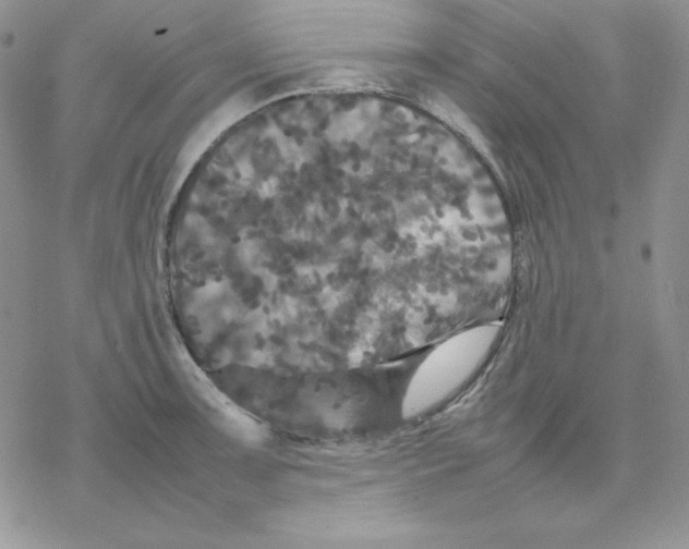 X0000077291091200611171621