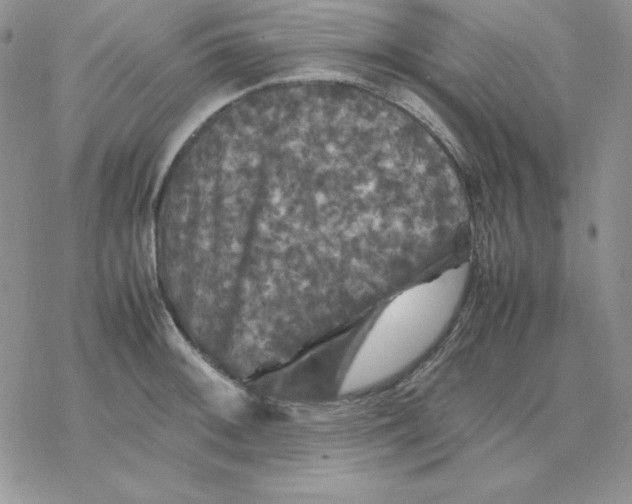 X0000077291092200611171621