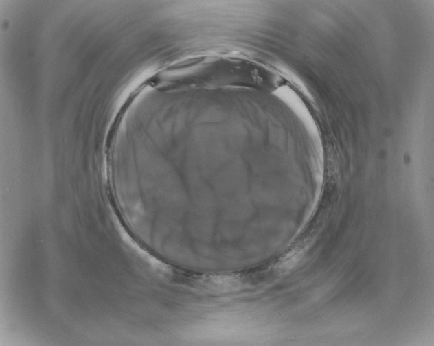 X0000077291095200611171621