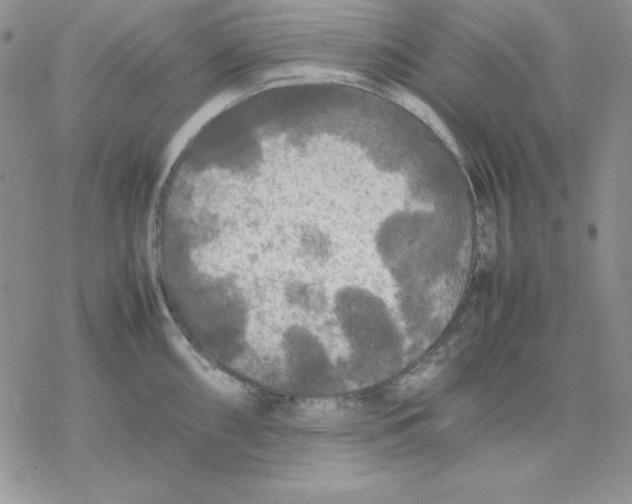 X0000077291098200611171621