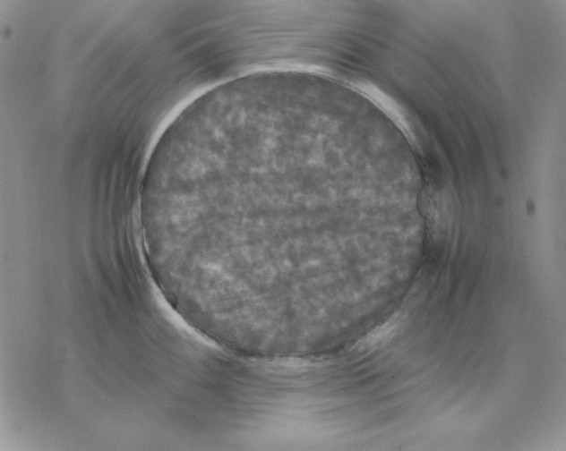 X0000077291100200611171621