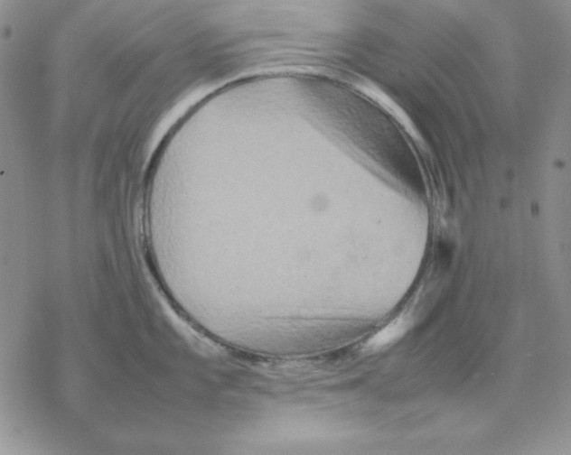 X0000077291101200611171621