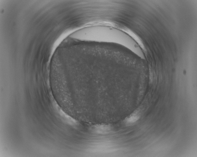 X0000077291102200611171621