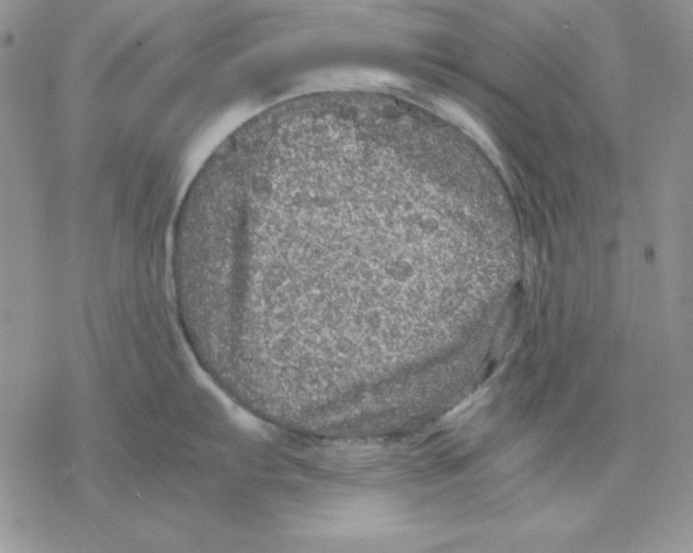 X0000077291103200611171621