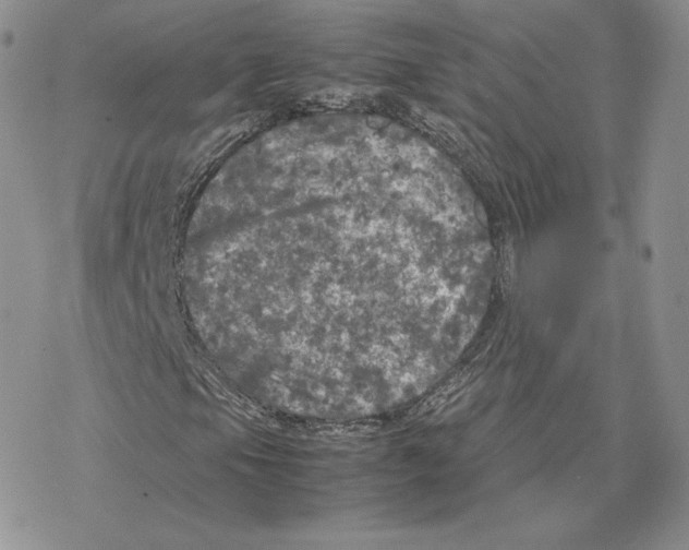 X0000077291105200611171620