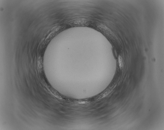 X0000077291107200611171620