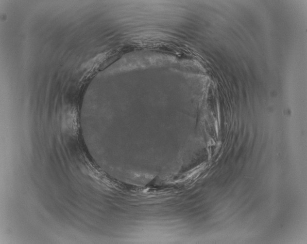 X0000077291108200611171620