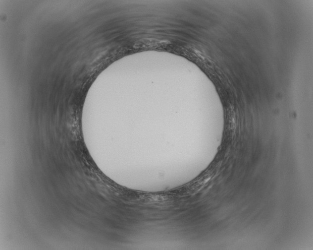 X0000077291109200611171620