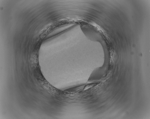 X0000077291110200611171620