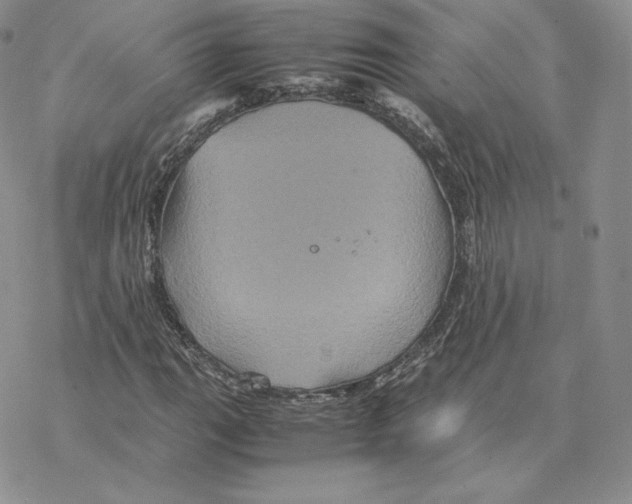 X0000077291111200611171620