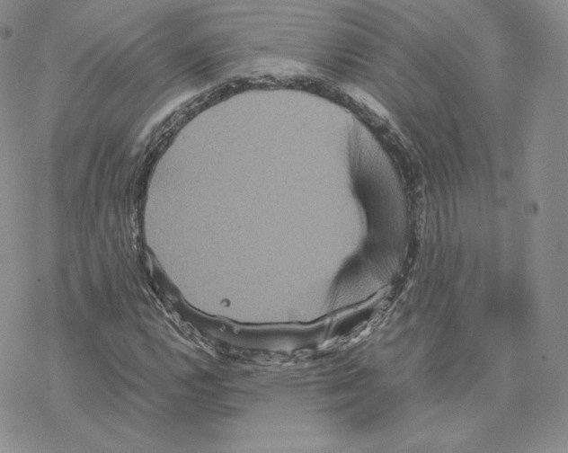 X0000077291112200611171620