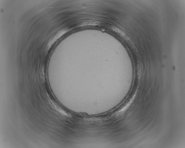 X0000077291113200611171620