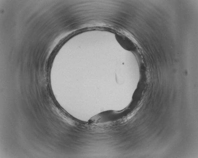 X0000077291116200611171620