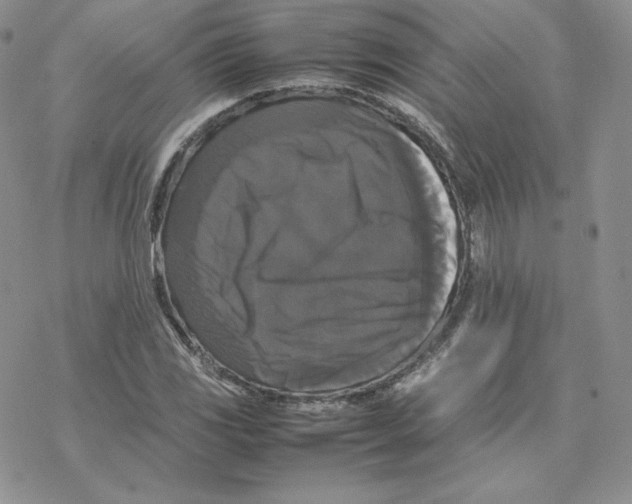 X0000077291117200611171620