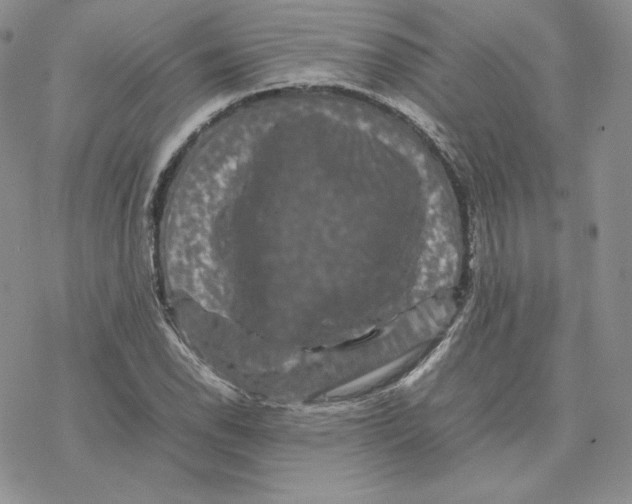 X0000077291118200611171620