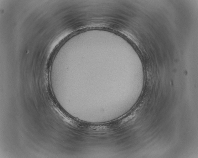 X0000077291119200611171620