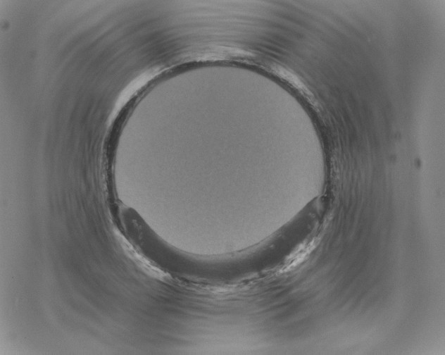 X0000077291122200611171620