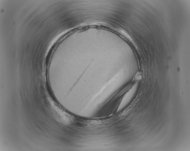 X0000077291124200611171620