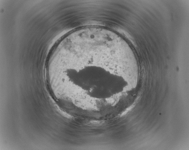 X0000077291125200611171620