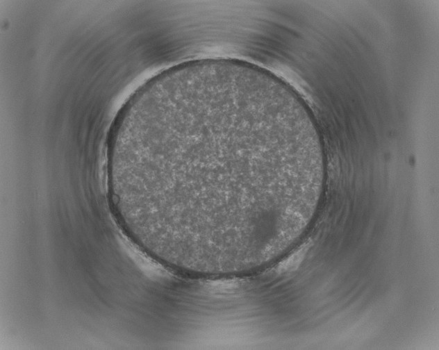 X0000077291126200611171620