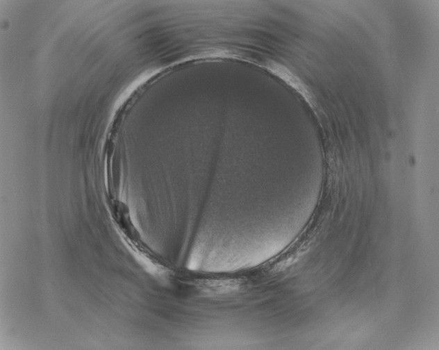 X0000077291127200611171620