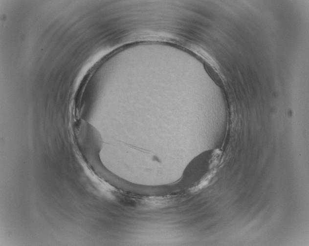 X0000077291128200611171620