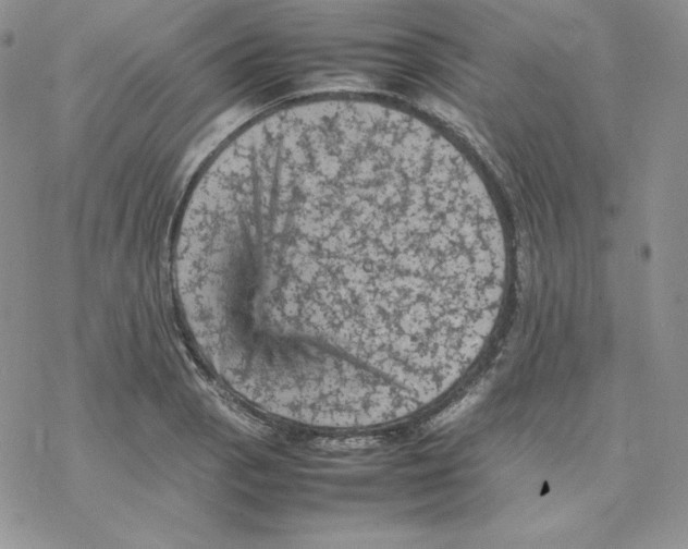 X0000077291129200611171620