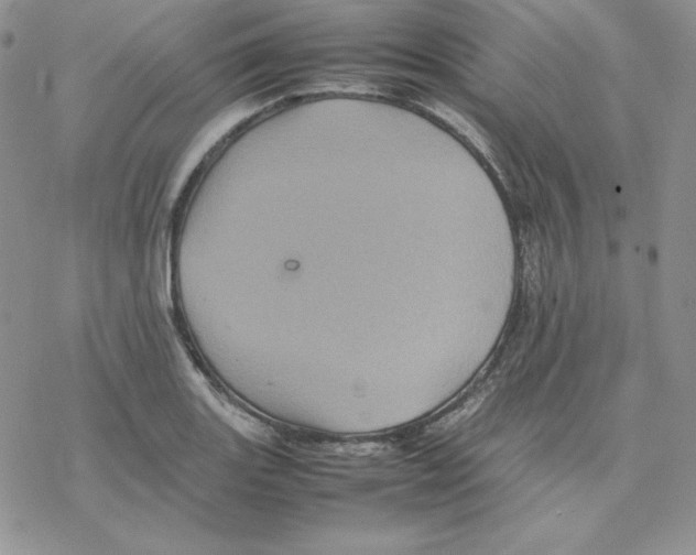 X0000077291131200611171620