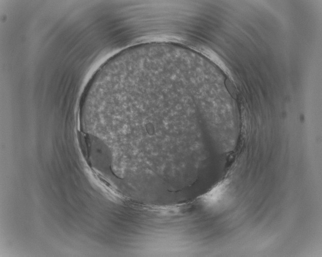 X0000077291132200611171620