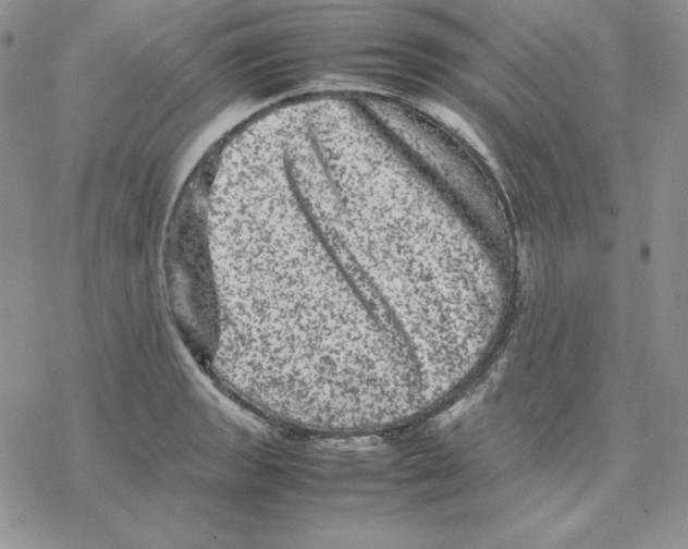 X0000077291133200611171620