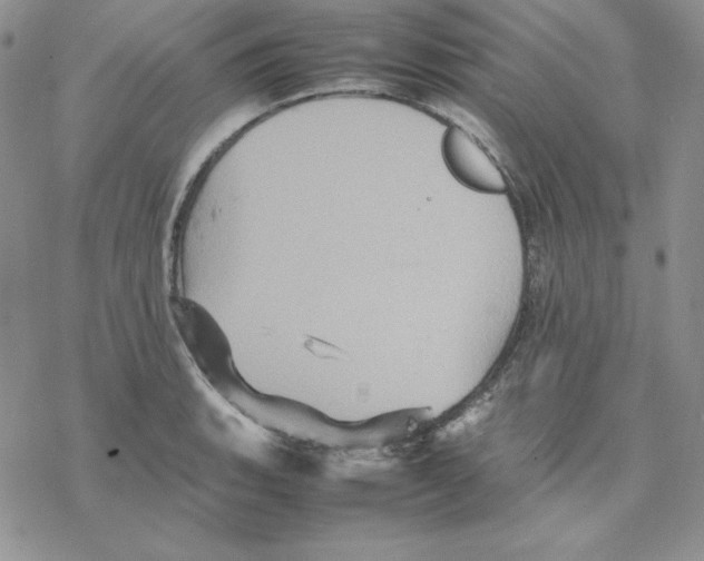 X0000077291135200611171620