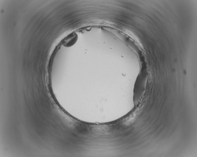 X0000077291136200611171620