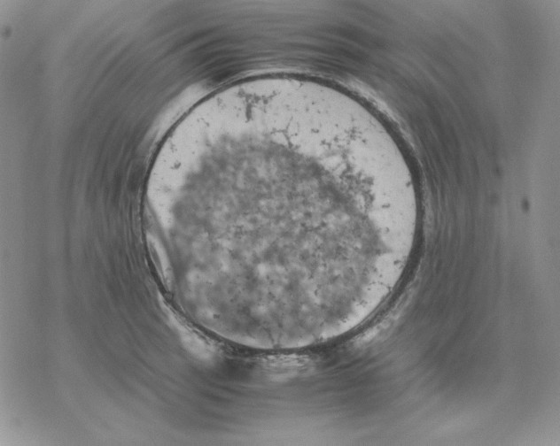 X0000077291137200611171621