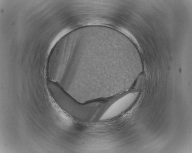 X0000077291138200611171621