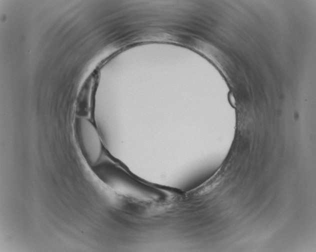 X0000077291139200611171621