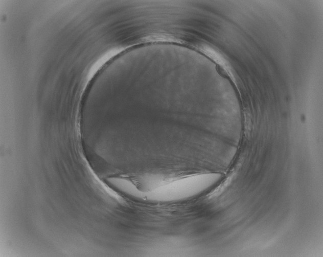 X0000077291141200611171621