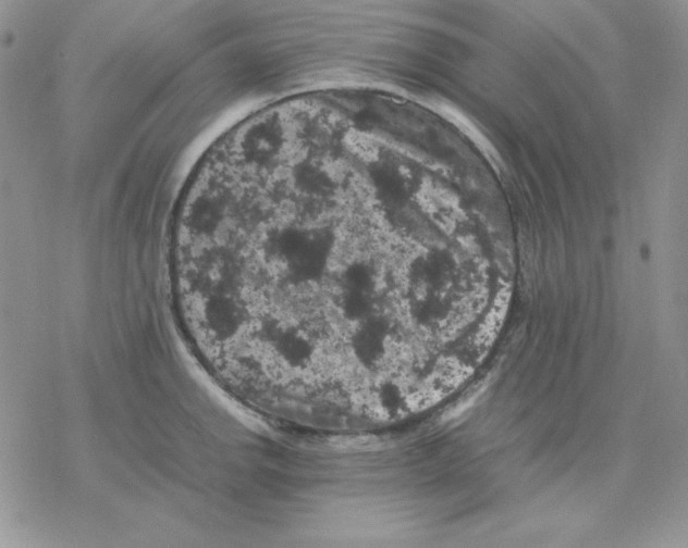 X0000077291142200611171621