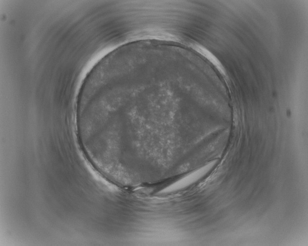 X0000077291144200611171621