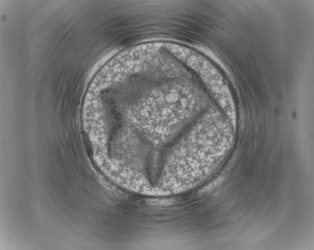 X0000077291145200611171621