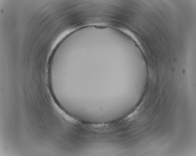 X0000077291147200611171621