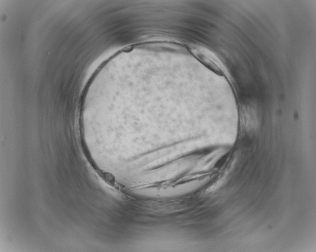 X0000077291149200611171621